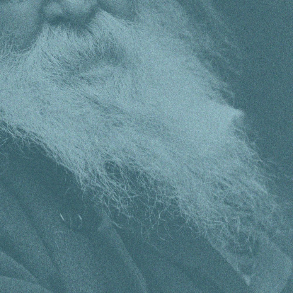 Walt Whitman: Songs of Myself